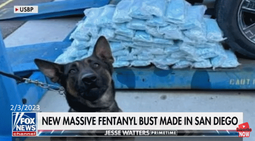 thumbnail of new massive fentanyl bust 02032023.png