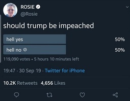 thumbnail of rosie-poll-flip-2.jpg