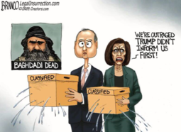 thumbnail of schiff pelosi outraged al baghdadi.PNG