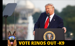 thumbnail of vote-rinos-out.png