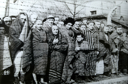 thumbnail of Auschwitz_Liberated_January_1945.jpg