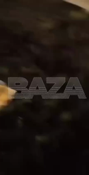 thumbnail of соч.MP4