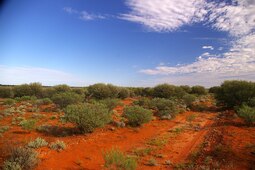 thumbnail of 1600px-Red_Earth_Desert.jpg