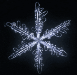 thumbnail of snowflake.gif