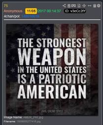 thumbnail of qpost 75_Patriotic American.JPG