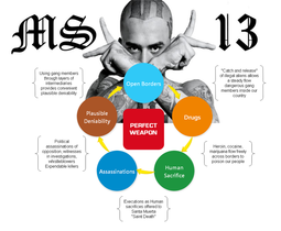 thumbnail of MS13 A.png