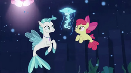 thumbnail of TwoSeaponies.png