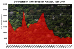 thumbnail of amazon-deforestation-brazil-1988-present-768x512.png