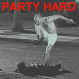 thumbnail of party_hard_nigger.gif