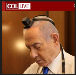 thumbnail of bibi.PNG