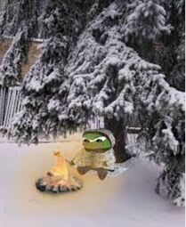 thumbnail of toasty_pepe.JPG