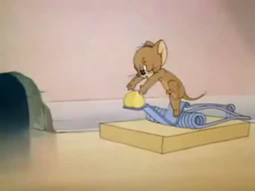 thumbnail of Otomad Tom and Jerry.webm
