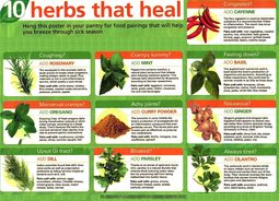 thumbnail of 10 Herbs that heal.jpg