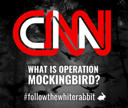 thumbnail of Mockingbird CNN.jpg