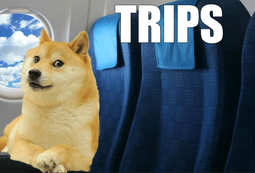 thumbnail of Trips.png