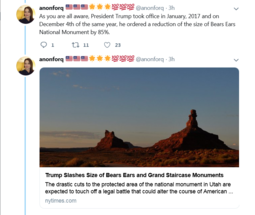 thumbnail of Screenshot_2019-11-10 anonforq 🇺🇸🇺🇸🇺🇸🌟🌟🌟💯💯💯 on Twitter In October of 2019, Friends of David Goldberg realeased [...](6).png