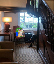 thumbnail of Pepe Reading Sunday Comics In Foyer.png