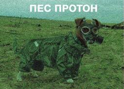thumbnail of пес протон.jpg