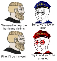 thumbnail of fema.png