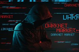 thumbnail of darknet-e1605204611698.jpg