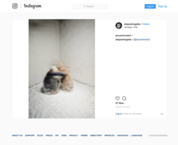thumbnail of Instagram_photo_by_Alejandro_Gatta_•_Aug_25,_2016_at_9_27_AM_-_2018-05-02_09.56.10.png