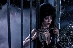 thumbnail of Elvira Mistress of the Dark.mp4