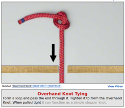 thumbnail of Overhand_Knot.png