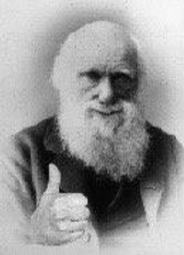 thumbnail of darwin approves.png