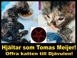 thumbnail of tomas_meijer_katt_satana_6579ce099606ee5873c44a10.jpg