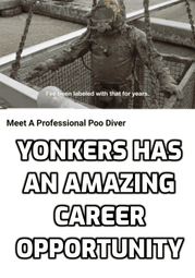 thumbnail of Poo Diver.png