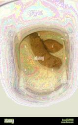thumbnail of uLhNuJC.jpg