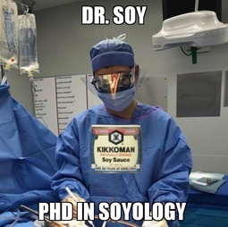 thumbnail of dr-soy.jpg