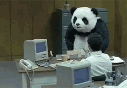 thumbnail of f-this-panda.gif