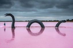 thumbnail of Pink-lakes-in-Australia-Lake-Bumbunga-1024x682.jpg