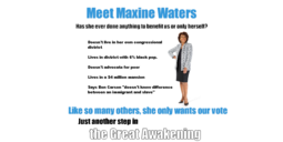 thumbnail of GREAT AWAKENING - meet Maxine.png