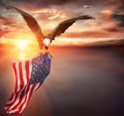 thumbnail of American Eagle_flying the flag.PNG