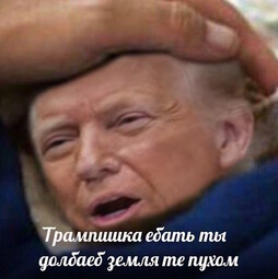 thumbnail of 1743973375082-0.jpg