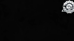 thumbnail of aW3bDbuL_Z8-sEhX.mp4