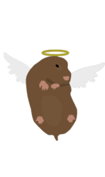 thumbnail of Chikin Nugget 2.png