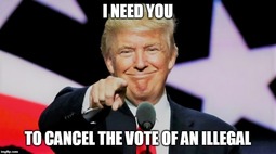 thumbnail of Trump I need you.jpg