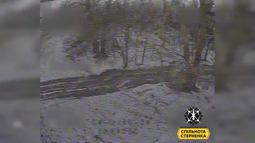 thumbnail of 576345345.mp4