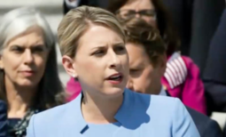 thumbnail of Screenshot_2019-10-29 Katie Hill was forced out by Nancy Pelosi, not President Trump.png