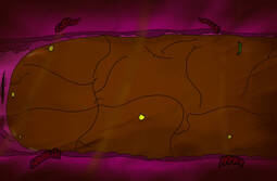 thumbnail of full_bowels_by_meekmak_dhte467-414w-2x.jpg