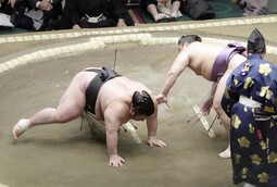thumbnail of Takakeisho-vs-Tobizaru.jpg