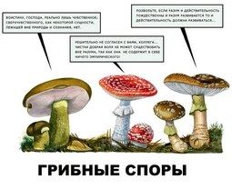 thumbnail of грибные споры.jpg