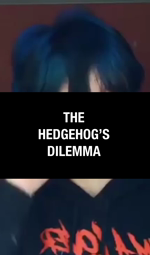 thumbnail of Hedgehog.webm