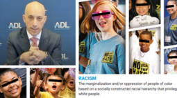 thumbnail of Screenshot-2022-02-03-at-07-37-50-adl-no-place-for-hate-teaching-kids-only-whites-are-racist-h1-jpg-JPEG-Image-640-×-336-...-800x445.png