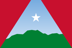 thumbnail of Flag_of_Caracas_(2022).svg.png