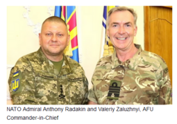 thumbnail of White Angel_NATO_AFU_Ukraine_pic 7.PNG