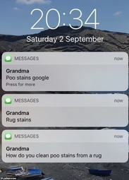 thumbnail of 75939561-12571279-Elsewhere_a_grandmother_mistakenly_texted_her_grandchild_thinkin-a-54_1695910306729.jpg